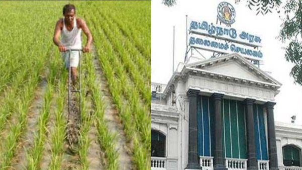 விவசாயிகளுக்கு ஜாக்பாட்! தோட்டக்கலை பயிர்களுக்கு மானிய மழை! தமிழக அரசின் அசத்தல் ஆஃபர்!