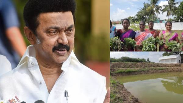 குப்பை மேடுகளில் ஒருங்கிணைந்த பண்ணை விவசாயம்! - முதலமைச்சர் ஸ்டாலின் முயற்சிக்குப் பெருகும் வரவேற்பு