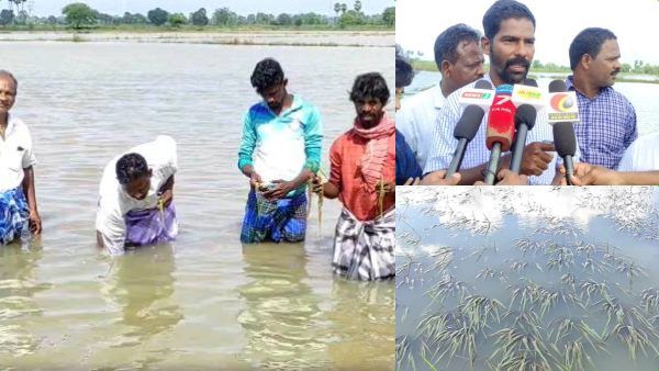 மயிலாடுதுறை மழை.. வந்தாலும் பிரச்சினை.. வரலைனாலும் பிரச்சினை! தண்ணீரால் கண்ணீர் விடும் விவசாயிகள்!