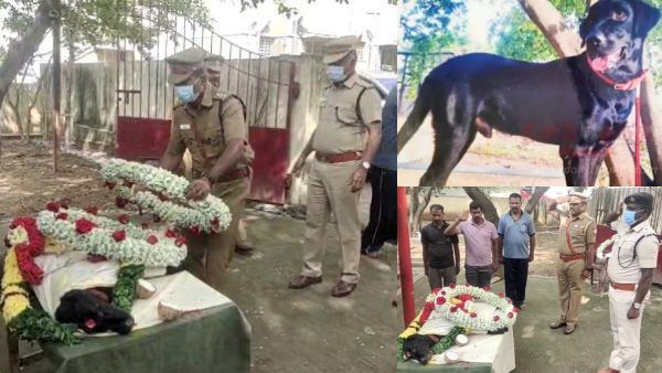 250 வழக்குகளில் துப்பு துலக்கிய ‘சிம்பா’ மரணம்.. வீரவணக்கம் செலுத்திய சக மோப்ப நாய்கள்.. நெகிழ்ச்சி!