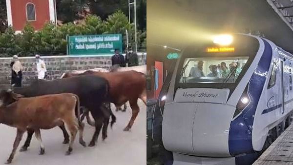 மாட்டை தடுக்கணும்.. தண்டவாளத்துக்கு வேலி போடும் ரயில்வே துறை.. 'ஐடியாவை' கலாய்க்கும் நெட்டிசன்கள்