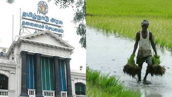 விவசாயிகளுக்கு குட் நியூஸ்..சம்பா நெற்பயிருக்கு காப்பீடு..நவ.21 வரை கால அவகாசம்