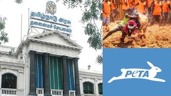 ஜல்லிக்கட்டு எங்கள் கலாச்சாரம்.. பாரம்பரியமே பறிபோகும்.. பீட்டாவிற்கு எதிராக தமிழக அரசு சரமாரி வாதம்