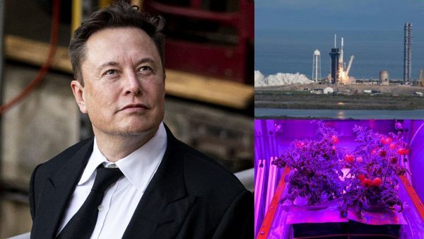 ஒரு பையில் பறந்த பார்சல்.. விண்வெளிக்கு தக்காளி விதைகளை அனுப்பிய எலான் மஸ்க்.. ஏன் தெரியுமா?