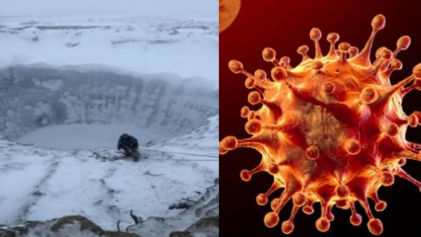 48500 வருட பழையது.. ஐஸ் உருகி.. வெளியே வந்த.. 13 ஸோம்பி வைரஸ்கள்.. அதிர்ந்து போன ஆராய்ச்சியாளர்கள்!