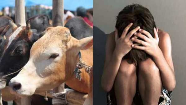 அரை நிர்வாணமாக்கி.. பெல்ட்டால் அடித்த கொடூரம்! சத்தீஸ்கரில் பீஃப் விற்றதாக 2 பேர் மீது தாக்குதல்