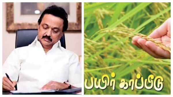 பயிர் காப்பீட்டிற்கான கால வரம்பை நீட்டிக்க வேண்டும்! மத்திய அரசுக்கு முதல்வர் ஸ்டாலின் அவசரக் கடிதம்