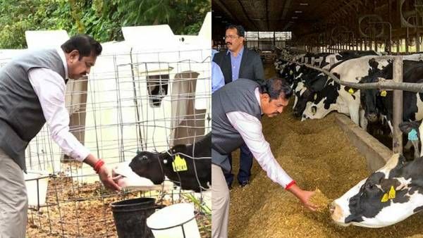 கால்நடை மருந்துகள் தட்டுப்பாடு! வாயில்லா ஜீவன்களின் வயிற்றில் அடிப்பதாக எடப்பாடி பரபரப்பு புகார்!