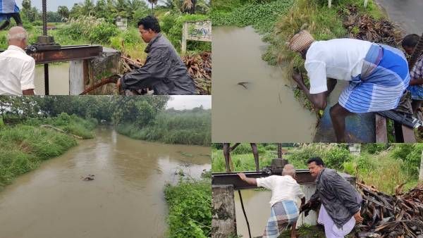 மழை வந்து மயிலாடுதுறை வாடுதே! இரவு பகலாக வெளுத்து வாங்கும் கனமழை! மூழ்கிய பயிரால் விவசாயிகள் வேதனை!