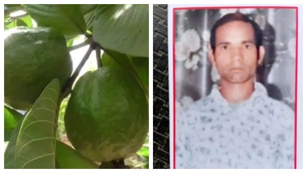 கொய்யாப்பழம் பறிக்க நினைத்ததற்கு இப்படியா.. அடித்தே கொல்லப்பட்ட தலித் இளைஞர்.. உபியில் கொடூரம்!