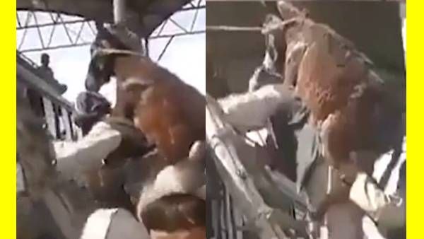 யார்னு பாருங்க.. ஒரே ஆச்சரியமா இருக்கே.. என்னங்க நடக்குது இங்கே.. குழப்பியடிக்குதே 