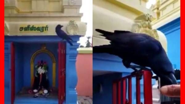 காஞ்சிபுரத்தில் அதிசயம்.. நேரா கோயிலுக்கு வந்து 