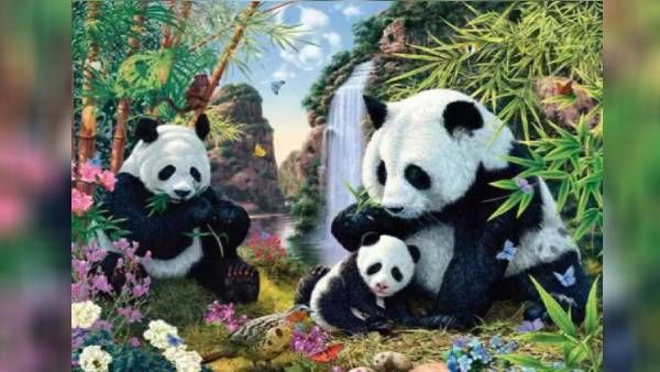 ஆப்டிகல் இல்யூஷன்: இந்த படத்தில் 12 