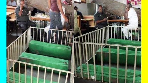 மரத்தடியில்.. அதுவும் சமாதிகளுக்கு நடுவில்.. 