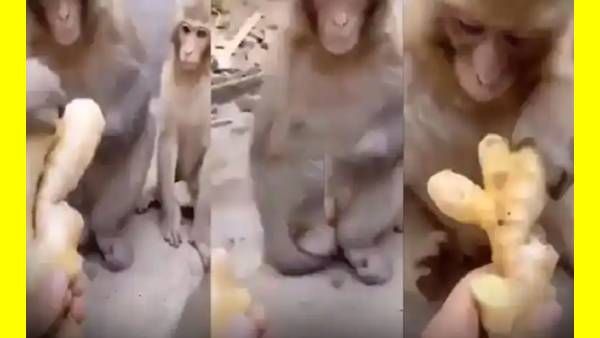 யார்ன்னு பாருங்க.. போயும் போயும் அதுக்கு முன்னாடி இப்படியா நீட்றது.. தாறுமாறு சம்பவம்