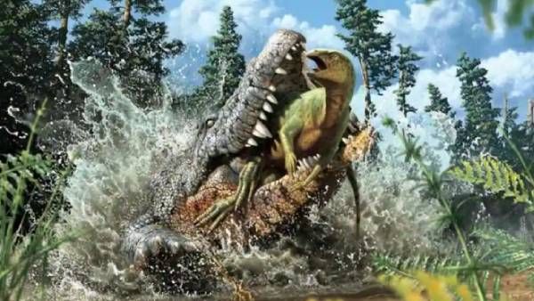 9 கோடி ஆண்டுகளுக்கு முன் வாழ்ந்த முதலை.. வயிற்றுக்குள் பார்த்தால்.. ஆ.. 'ஷாக்' ஆன ஆராய்ச்சியாளர்கள்