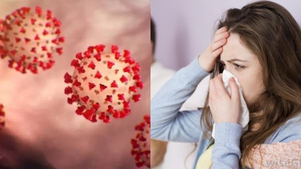 மழைக்காலம் வேற.. ஜலதோஷத்திற்கும் கொரோனா அறிகுறிகளுக்கும் வித்தியாசம் என்ன.. எளிய விளக்கம் இதோ