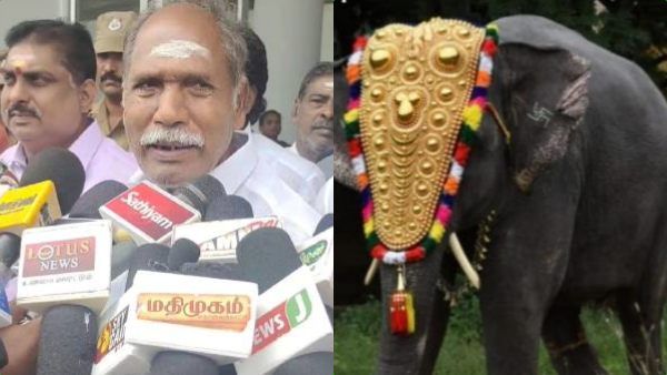 யானை லட்சுமி மரணம்.. மணக்குள விநாயகர் கோவிலுக்கு புதிய யானை எப்போது? முதல்வர் ரங்கசாமி சொன்ன பதில்