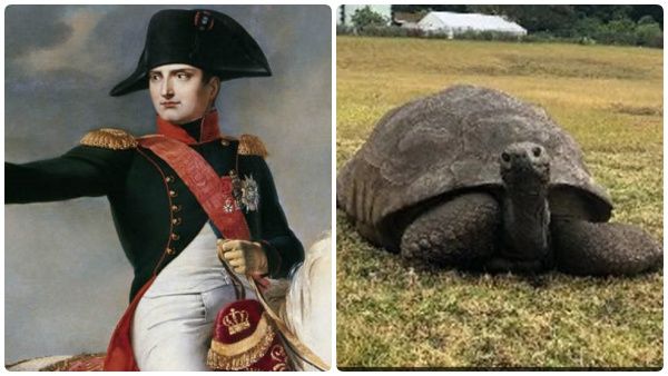 சார் பேரு ஜொனாதன்.. மாவீரன் நெப்போலியன் ஜெயிலில் இறந்த தீவுதான் இவர் நேட்டிவ்.. வயசு ஜஸ்ட் 190!