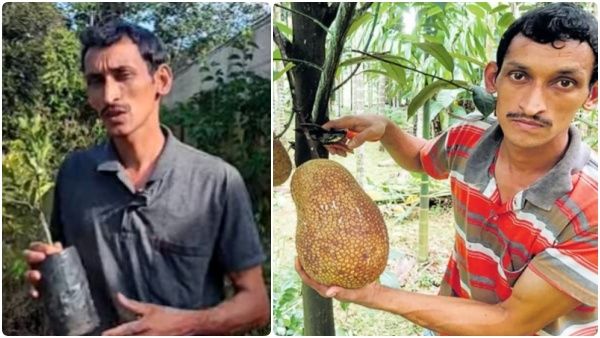 40 நாடுகளின் விதைகள்.. 700 வெளிநாட்டு மரங்கள்.. 5 ஆண்டுகளில் குட்டி காட்டை உருவாக்கி.. அசத்திய நபர்