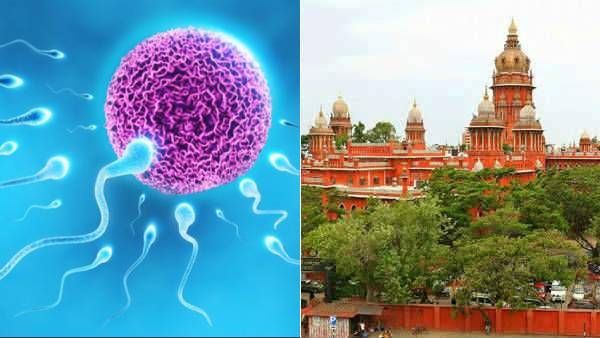 பெண்ணிடம் ஒரு முறைக்கு மேல் கருமுட்டைகளை எடுக்கலாமா? 