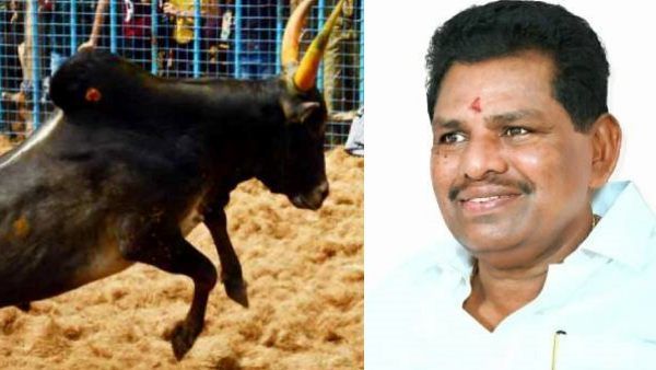 ஜல்லிக்கட்டு.. அதிகாரிகளுடன் ஆலோசனை நடத்தும் அமைச்சர் அனிதா ராதாகிருஷ்ணன்! நெறிமுறைகள் மாறுமா?