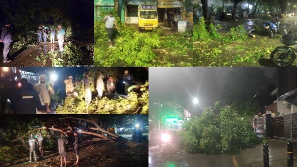 ருத்ரதாண்டவம் ஆடிய மாண்டஸ்..கரையைக் கடந்தது..பேயாட்டம் போட்ட 300 மரங்கள் வேரோடு சாய்ந்தன