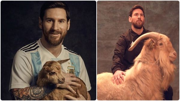 மெஸ்ஸிக்கு பக்கத்தில் இருக்கும் GOAT! ஆட்டுக்கும் அவருக்கும் என்ன தொடர்பு! இவ்ளோ நாள் தெரியாம போச்சே