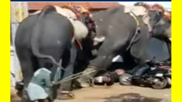 திடீர்னு 