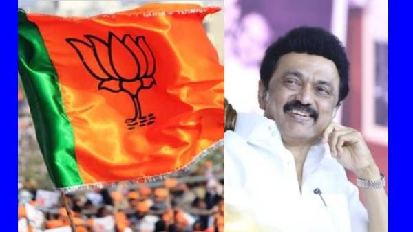 பூனைக்கு மணி.. 