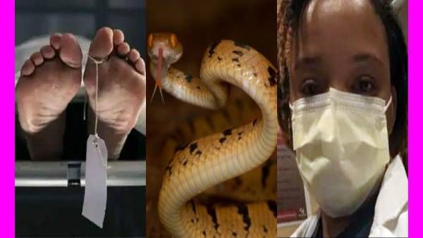 இறந்தவரின் 