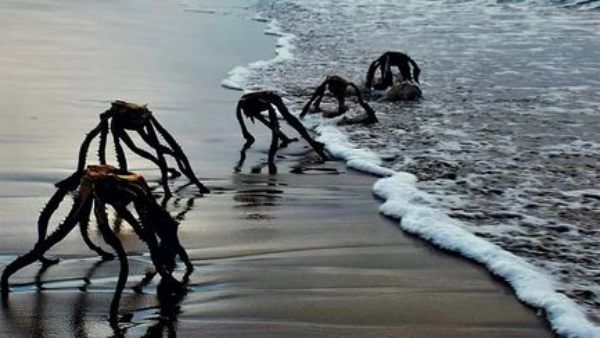 இவ்ளோ கால்களா? கடலில் இருந்து வந்த வேற்றுக்கிரகவாசிகள்? தீயாய் பரவும் புகைப்படம்