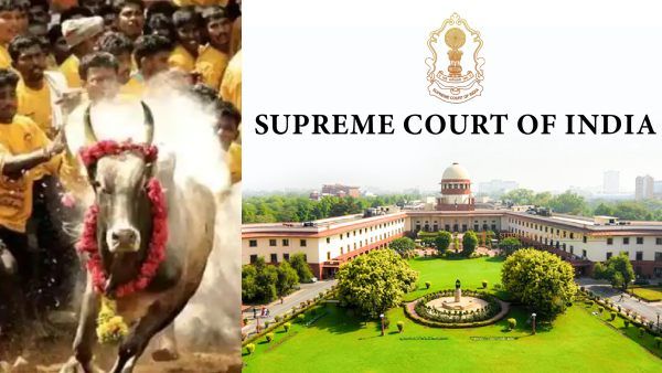 'சட்ட அங்கீகாரம் இருக்கு'.. ஜல்லிக்கட்டுக்கு ஆதரவாக உச்ச நீதிமன்றத்தில் மத்திய அரசு பரபர வாதம்