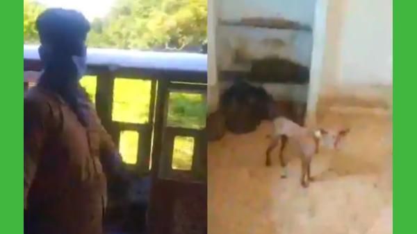 ஈரக்குலையே நடுங்குதே.. அதுவும் 5 தெரு நாய்களாம்.. வசமாக சிக்கிய நபர்கள்.. கடைசியில் பார்த்தால்..?