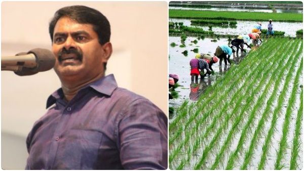 விளைநிலத்தை அழித்து சாலை போட்டுவிட்டு தனியாக பட்ஜெட் போட்டு என்ன பயன்? சீமான் ஆவேசம்