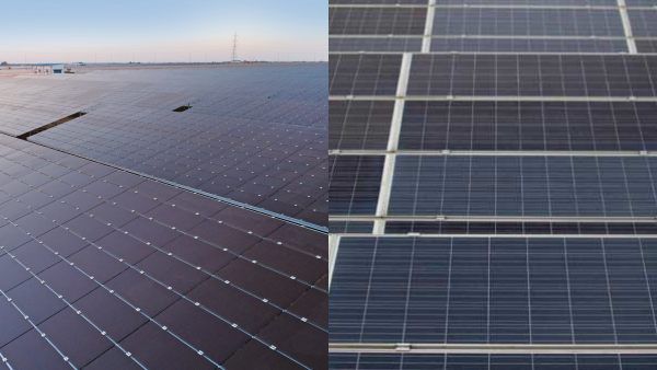 இதுதான் தமிழ்நாடு.. சூரிய ஒளி மின்சாரத்தில் ரெக்கார்ட்.. இவ்வளவு உற்பத்தியா? ஏன் முக்கியம் தெரியுமா?