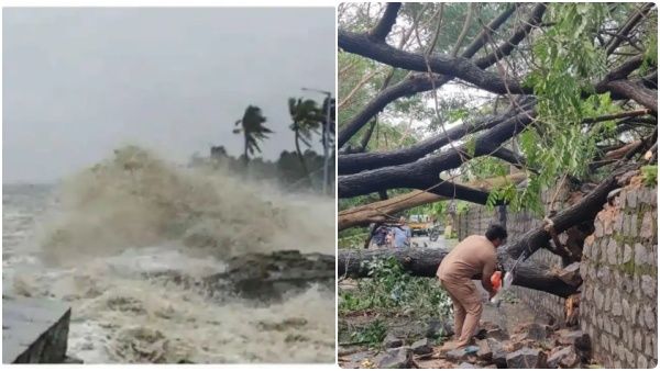 சென்னையின் பசுமை போச்சே.. விழுந்த 694 மரங்கள்! 5 பேர் பலி -புயல் சேதம் எவ்வளவு? அமைச்சர்கள் விளக்கம்