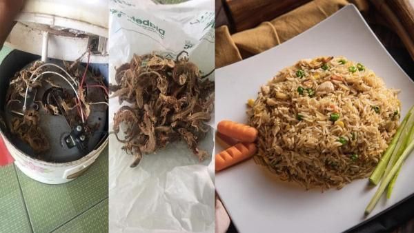 சாதாரண ரைஸ் 'ஃப்ரைட் ரைஸாக' மாறிய விசித்திரம்.. குக்கருக்கு அடியில் பார்த்தால் 