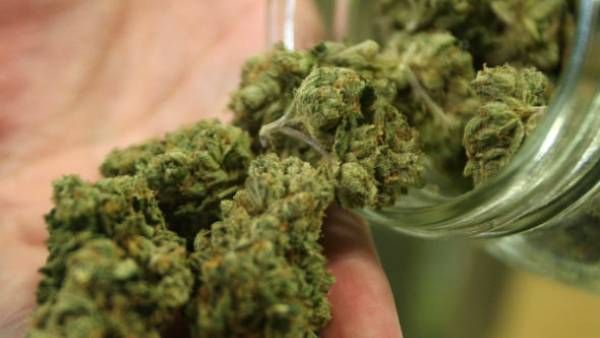 கல்லூரி அருகே கஞ்சா விற்ற 2 பேர்.. தூக்கிய போலீஸ்.. 12 ஆண்டு கடுங்காவல்.. நீதிமன்றம் பரபர தீர்ப்பு