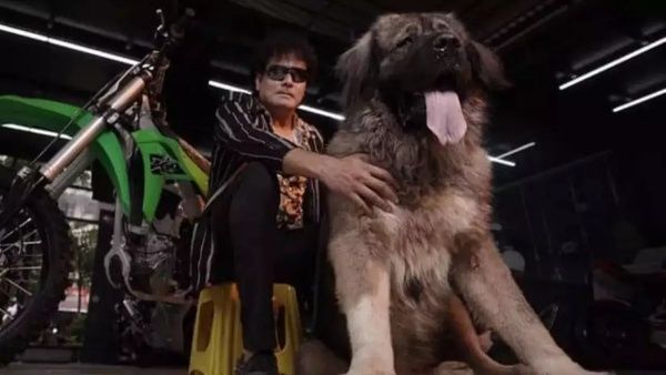 ஒரே ஒரு நாயை.. ரூ.20 கோடி தந்து வாங்கிய பெங்களூர் தொழிலதிபர்.. ஏன் இவ்வளவு? காரணம் இருக்கு மக்களே!