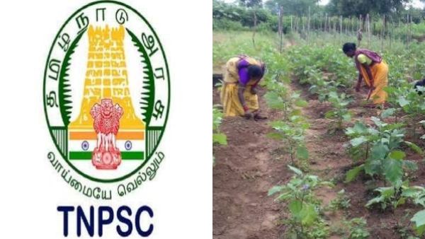 வேளாண் தோட்டகலைத்துறையில் சூப்பர் வேலைவாய்ப்பு.. டிஎன்பிஎஸ்சி முக்கிய அறிவிப்பு.. கைநிறைய சம்பளம்!