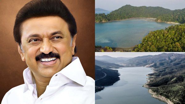 அடேங்கப்பா.. மலைக்க வைக்கும் தமிழக காடுகள் - முதலமைச்சர் ஸ்டாலின் 920 கோடி மாஸ்டர் ப்ளான்