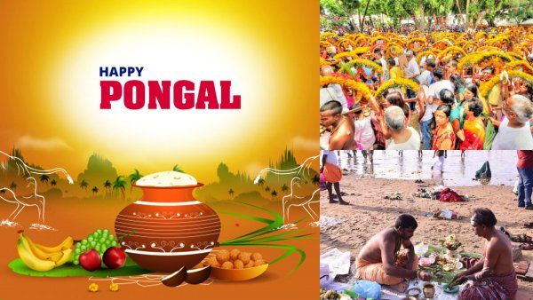 தை பொங்கல்.. தை அமாவாசை.. தை பூசம்.. என்னென்ன விரதங்கள்..விஷேசங்கள்