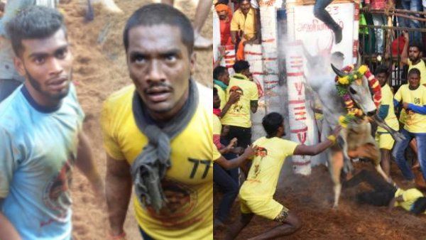 பொங்கல் ஹீரோ “விஜய்”.. அவனியாபுரம் ஜல்லிக்கட்டில் முதலிடம் -ரூ.8 லட்சம் காரை பரிசாக கொடுத்த ஸ்டாலின்