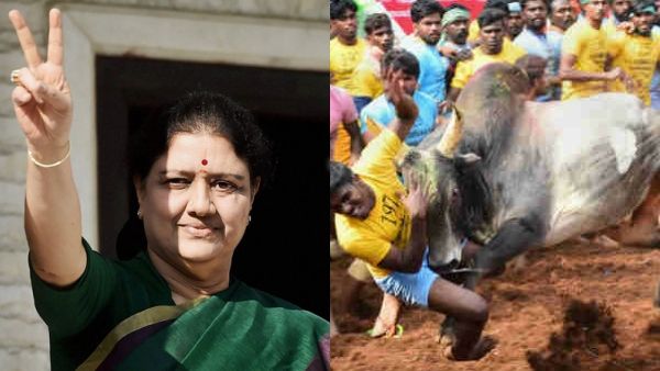 'அதிமுக பொதுச்செயலாளர் சசிகலா'.. அலங்காநல்லூரில் ஒலித்த குரல்.. வீரரை தள்ளிவிட்டு துள்ளி ஒரே ஓட்டம்!