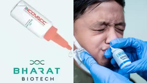 வாவ்! உலகின் முதல் நாசி வழி கொரோனா தடுப்பு மருந்து இந்தியாவில் அறிமுகம்.. விலை எவ்வளவு தெரியுமா?