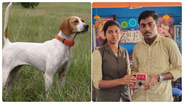 இனி நாய் துரத்தும் பயம் வேண்டாம்.. நாய்களை தெறித்து ஓட வைக்கும் 'மிஷின்'.. அசத்திய கேரள மாணவர்கள்