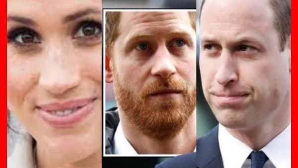 நொறுங்கிய கண்ணாடி கிண்ணம்.. ஹாரியின் சட்டையை பிடித்து, அடித்த வில்லியம்ஸ்.. அரசு குடும்பத்தில் அடிதடி