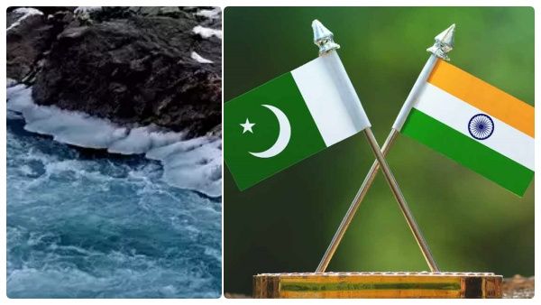 சிந்து நதியில் 