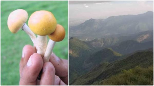 விர்ர்னு ஏறும்.. 